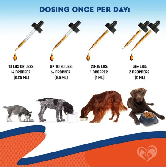 Dog Ear & Scooting Infection Treatment Drops