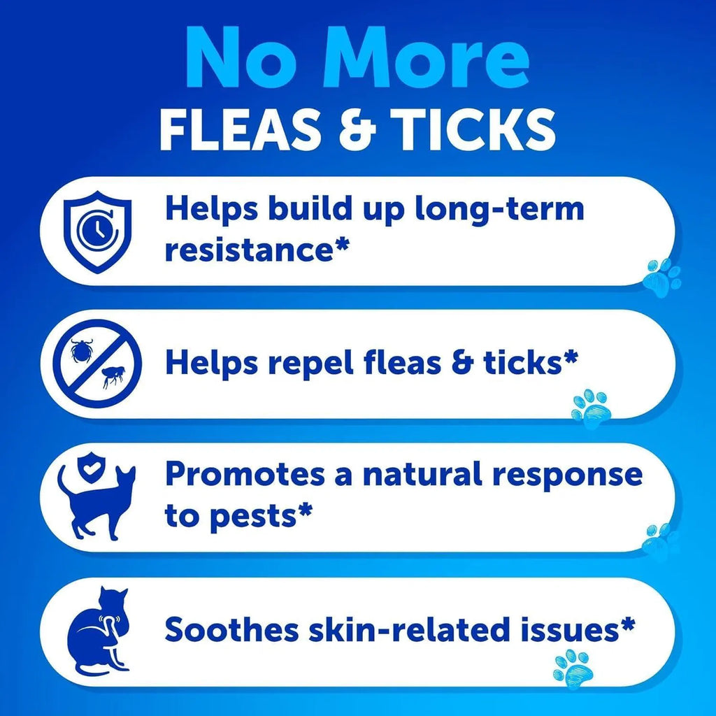 Cats Flea Treatment