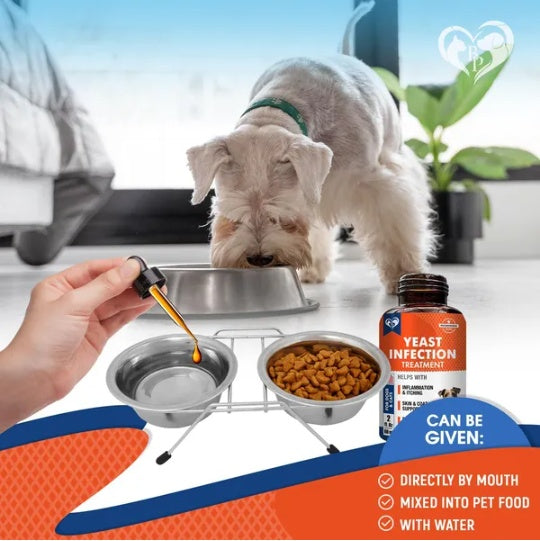 Dog Ear & Scooting Infection Treatment Drops