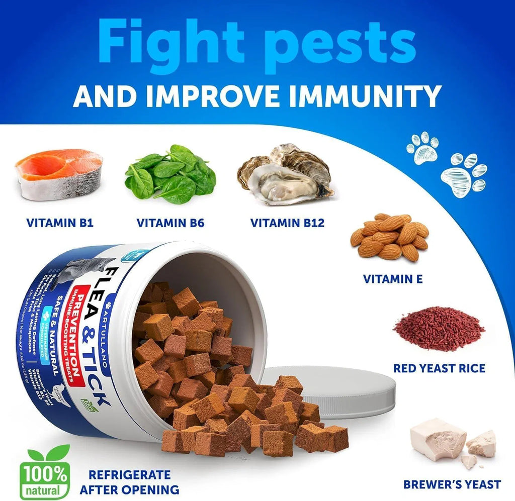 Cats Flea Treatment