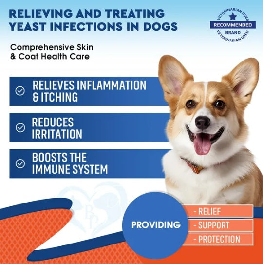 Dog Ear & Scooting Infection Treatment Drops