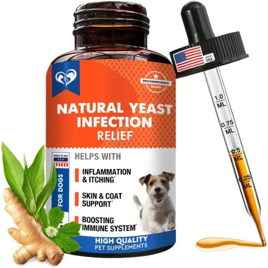 Dog Ear & Scooting Infection Treatment Drops